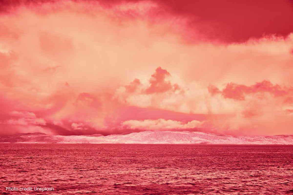 The Reality of the Red Ocean